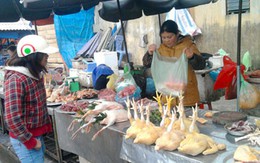Gà rụng lông cổ, không nên ăn