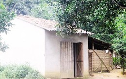 Án chung thân cho kẻ sát hại mẹ vợ