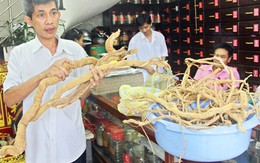 Thực hư về “cây thần dược” chữa ung thư