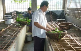 Thành tỷ phú nhờ ba ba