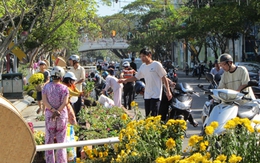 “Hôi hoa” ở đường hoa 17 tỷ