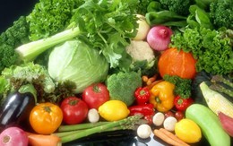 Cất giữ, chế biến thực phẩm an toàn