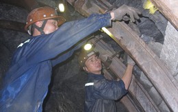 Xuân về dưới độ sâu 345m