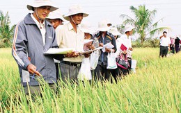 Báo cáo phát triển con người: Hướng tới sự phát triển bền vững