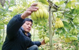 Làng tỷ phú nhờ “bàn tay Phật”