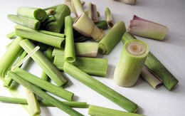 Ấm người với củ sả