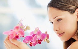 Sữa rửa mặt có gây hại vùng kín?