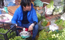 Vườn ế, rau chợ vẫn tăng giá gấp ba