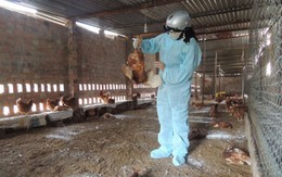 Con số & cuộc sống: 700