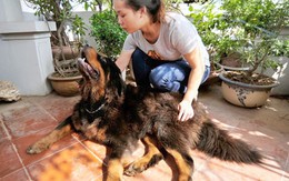 Không  thể khẳng định động vật có luân hồi, báo oán!