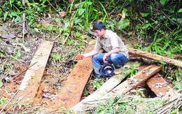 Lên thâm sơn nghe chuyện “thịt” rừng