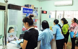 “Đáo tụng đình” bất đắc dĩ