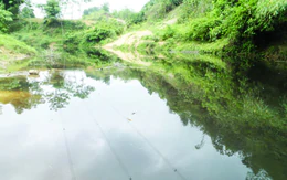 Gian nan đường về thôn, bản