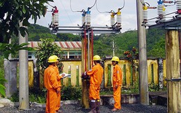 Buộc EVN và Petrolimex phải công khai lương lãnh đạo