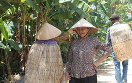 Ruộng khô, lúa chết, người lết vào hang 