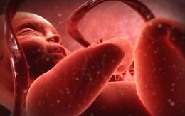 Hướng tới loại trừ trẻ nhiễm HIV từ mẹ 