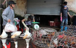 Sáu năm không tưởng?