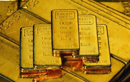 Có thể bị phạt tù nếu gian lận tuổi vàng