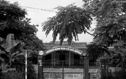 Chính phủ miễn học phí, trường vẫn thu