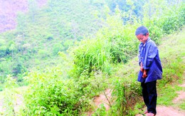 Mỏi mòn chờ được sống trên vùng đất chết