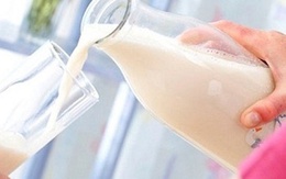 Pha sữa với nước bao nhiêu độ?