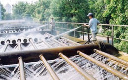 Nước sạch cũng… độc