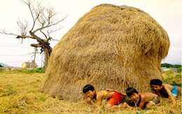 Da diết tiếng đồng