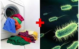 Lây bệnh tình dục từ… máy giặt