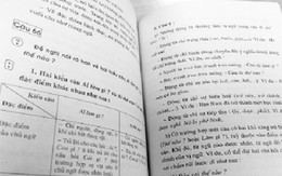 Chuyên gia ngôn ngữ nói gì?