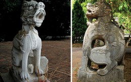 Sư tử và chó
