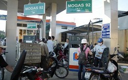 Ơ hay, các vị đâu rồi?