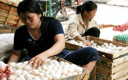 Giá xăng giảm, người tiêu dùng vẫn khổ