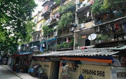 “Ngon” nhưng khó tiêu hóa 