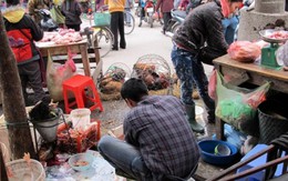 Người dân cần hiểu biết đúng và không nên hoang mang về dịch cúm AH5N1