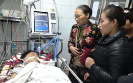 Chỉ có phép màu mới cứu sống được em bé bị bố đánh hôn mê