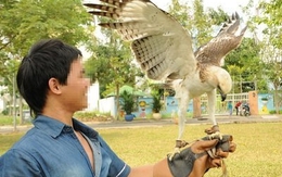 Chi chục triệu mua đại bàng về chơi