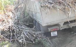 Xe chở mía mất lái đâm hai vợ chồng lìa đầu