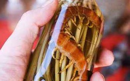 Cám cảnh "tiên dược" chồng uống... vợ khóc ròng