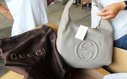 Khởi tố vụ buôn lậu hàng hiệu Gucci, D&G giá trị lớn
