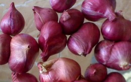 Công dụng trị bệnh không ngờ từ... gia vị