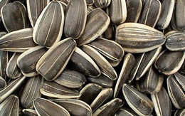 Công dụng của các loại hạt, quả ngày Tết