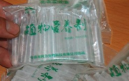 Giá đỗ trắng đẹp nhờ... hóa chất