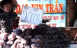 Ung thư tăng vì người Việt bị "đầu độc" hàng ngày