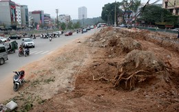 Quan tài trong mộ cổ ở Hà Nội được xếp bằng gạch