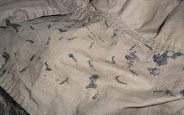 Kinh hãi hàng nghìn 'sinh vật lạ' bò lúc nhúc trong quần áo may sẵn