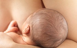 Những thông tin cơ bản về độc tố trong sữa mẹ