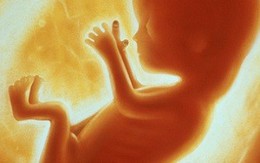 Những sự thật kinh ngạc về thai nhi trong bụng mẹ