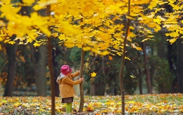 Ngắm sắc màu tuyệt đẹp của mùa thu khắp thế giới