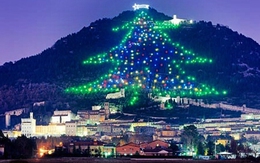 Ngắm cây thông Noel lớn nhất thế giới
