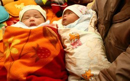 Thành tựu y học chưa từng thấy của Việt Nam: Cặp song sinh ra đời bằng tinh trùng được lấy từ tử thi